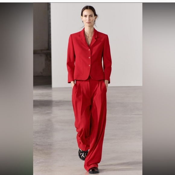 BNWT! Zara PLEATED TABBED MENSWEAR STYLE PANTS ZW COLLECTION - Picture 6 of 10